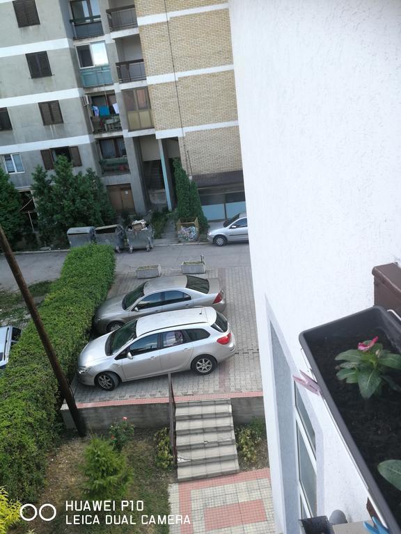 Studio Lenka Soko Banja Bagian luar foto
