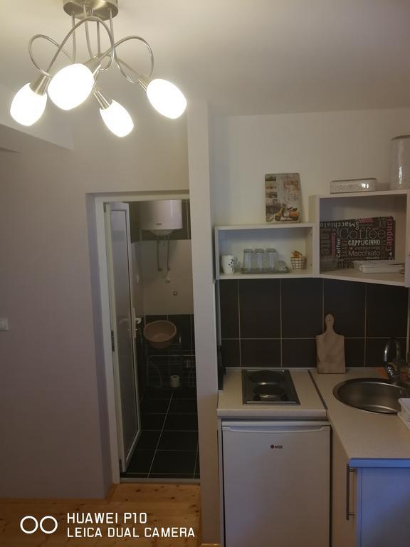 Studio Lenka Soko Banja Bagian luar foto