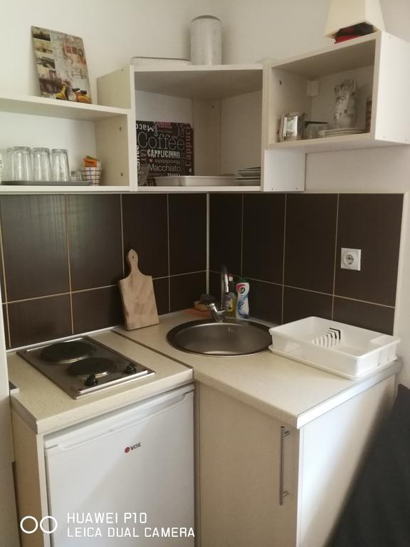 Studio Lenka Soko Banja Bagian luar foto